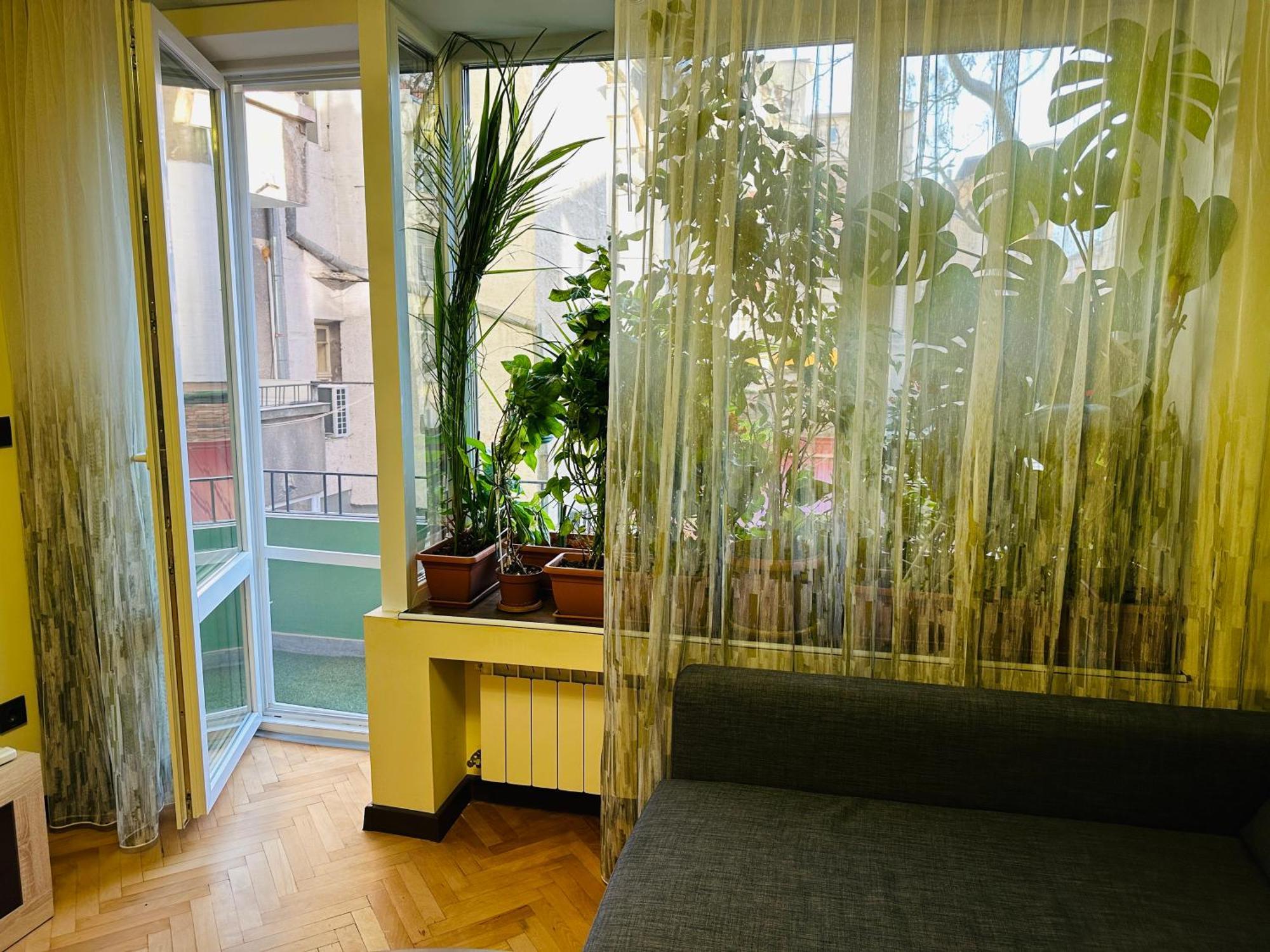 Luxury Oasis In Absolute Center Of Sofia公寓 外观 照片